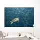 Green Sea Turtle Surrounded By Schooling Bigeye Jacks Wall Mural