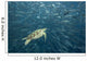 Green Sea Turtle Surrounded By Schooling Bigeye Jacks Wall Mural