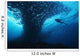 Micronesia, Palau, Scuba Diver With Schooling Bigeye Jacks Wall Mural