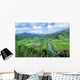 Hawaii, Kauai, Hanalei Valley Taro Fields And Wildlife Refuge Wall Mural
