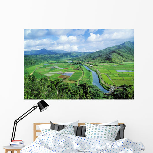 Hawaii, Kauai, Hanalei Valley Taro Fields And Wildlife Refuge Wall Mural
