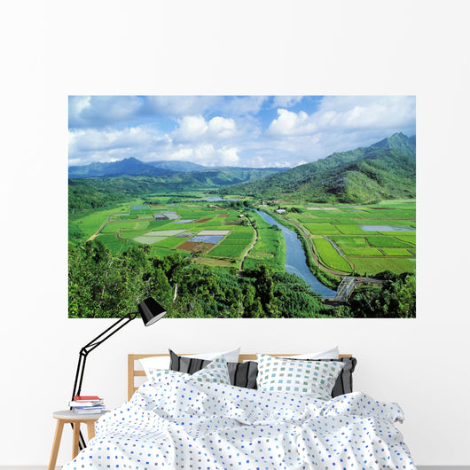 Hawaii, Kauai, Hanalei Valley Taro Fields And Wildlife Refuge Wall Mural