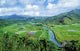 Hawaii, Kauai, Hanalei Valley Taro Fields And Wildlife Refuge Wall Mural