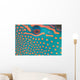 Indonesia, Extreme Close-Up Eye Of Bicolor Parrotfish Wall Mural