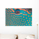 Indonesia, Extreme Close-Up Eye Of Bicolor Parrotfish Wall Mural
