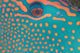 Indonesia, Extreme Close-Up Eye Of Bicolor Parrotfish Wall Mural