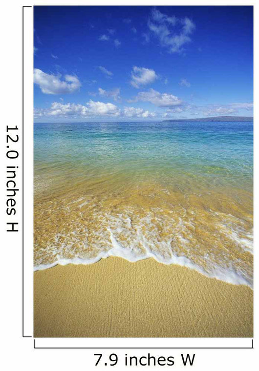 Calm Turquoise Ocean Wall Mural