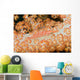 Malaysia, Sipidan Island, Longnose Hawkfish On Alcyonarian Coral Wall Mural