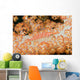 Malaysia, Sipidan Island, Longnose Hawkfish On Alcyonarian Coral Wall Mural