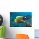 Malaysia, Blue-Face Angelfish Near Ocean Floor Wall Mural