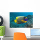 Malaysia, Blue-Face Angelfish Near Ocean Floor Wall Mural