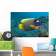 Malaysia, Blue-Face Angelfish Near Ocean Floor Wall Mural