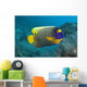 Malaysia, Blue-Face Angelfish Near Ocean Floor Wall Mural