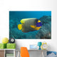 Malaysia, Blue-Face Angelfish Near Ocean Floor Wall Mural