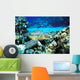 Hawaii, Green Sea Turtle On Reef With Tropical Fish Wall Mural