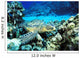 Hawaii, Green Sea Turtle On Reef With Tropical Fish Wall Mural