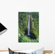 Hawaii, Big Island, Akaka Falls, Lush Greenery In Foreground Wall Mural
