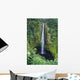 Hawaii, Big Island, Akaka Falls, Lush Greenery In Foreground Wall Mural