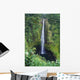 Hawaii, Big Island, Akaka Falls, Lush Greenery In Foreground Wall Mural