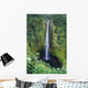 Hawaii, Big Island, Akaka Falls, Lush Greenery In Foreground Wall Mural