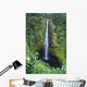 Hawaii, Big Island, Akaka Falls, Lush Greenery In Foreground Wall Mural