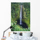 Hawaii, Big Island, Akaka Falls, Lush Greenery In Foreground Wall Mural