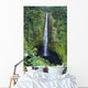 Hawaii, Big Island, Akaka Falls, Lush Greenery In Foreground Wall Mural