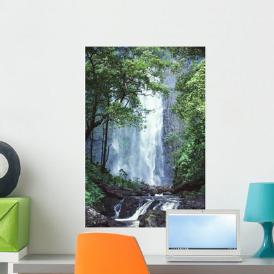 Trees Overlook Stream Foreground Wall Mural shown on a wall