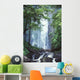 Trees Overlook Stream In Foreground Wall Mural