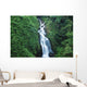 Hawaii, Big Island, Waterful On Hamakua Coast Wall Mural
