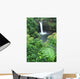 Hawaii, Big Island, Rainbow Falls, Pool Surrounded By Tropical Foliage Wall Mural