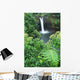 Hawaii, Big Island, Rainbow Falls, Pool Surrounded By Tropical Foliage Wall Mural