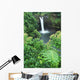 Hawaii, Big Island, Rainbow Falls, Pool Surrounded By Tropical Foliage Wall Mural