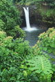 Hawaii, Big Island, Rainbow Falls, Pool Surrounded By Tropical Foliage Wall Mural