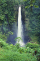 Hawaii, Big Island, Akaka Falls, Lush Greenery In Foreground Wall Mural