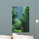 Hawaii, Maui, Hana, Oheo Gorge, Waimoku Falls, And Bamboo Forest Wall Mural