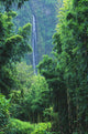 Hawaii, Maui, Hana, Oheo Gorge, Waimoku Falls, And Bamboo Forest Wall Mural