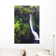 Hawaii, Maui, Foliage And Waterfall Along Hana Highway Wall Mural