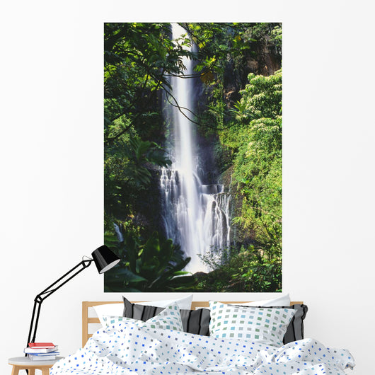 One Large Fall And A Few Smaller Ones Wall Mural