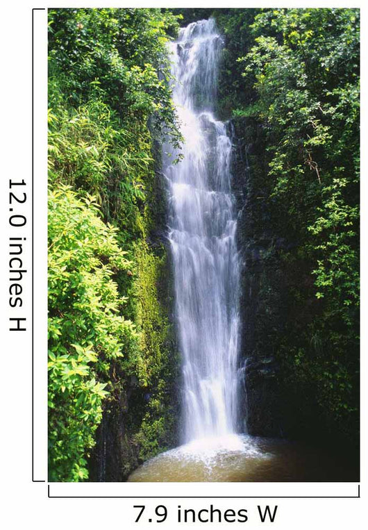 Waterfall Surrounded By Lush Greenery Wall Mural