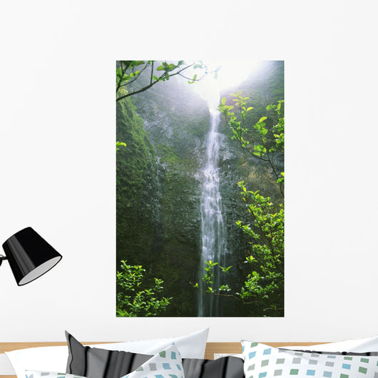 Hawaii, Kauai, Napali Coast, Hanakapiai Falls Wall Mural