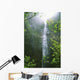 Hawaii, Kauai, Napali Coast, Hanakapiai Falls Wall Mural