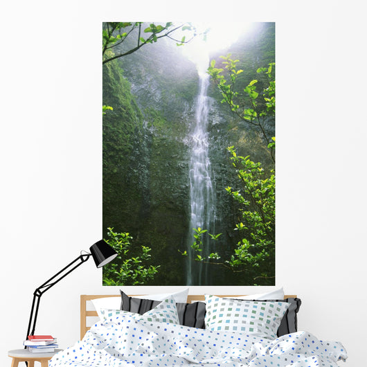 Hawaii, Kauai, Napali Coast, Hanakapiai Falls Wall Mural