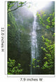 Hawaii, Kauai, Napali Coast, Hanakapiai Falls Wall Mural