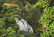 Waterfall Surrounded By Tropical Flowers And Plants Wall Mural
