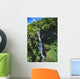 Hawaii, Maui, Waterfall Along Slopes Of Haleakala Above Huelo Wall Mural