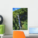 Hawaii, Maui, Waterfall Along Slopes Of Haleakala Above Huelo Wall Mural