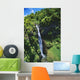 Hawaii, Maui, Waterfall Along Slopes Of Haleakala Above Huelo Wall Mural