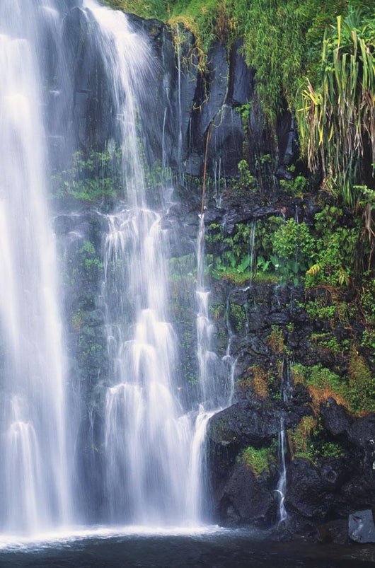 Hawaii, Maui, One Of Many Cascading Waterfalls Found Along Hana Coast Wall Mural