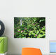 Impatiens In Foreground Wall Mural